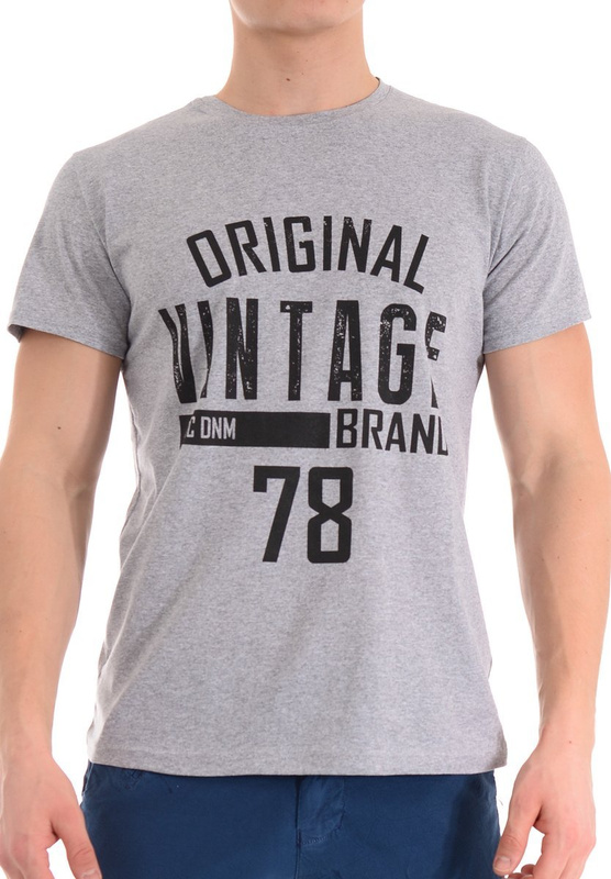 Męska Koszulka T-Shirt Nadruk Szara