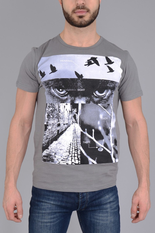Męska Koszulka T-shirt Nadruk Szara
