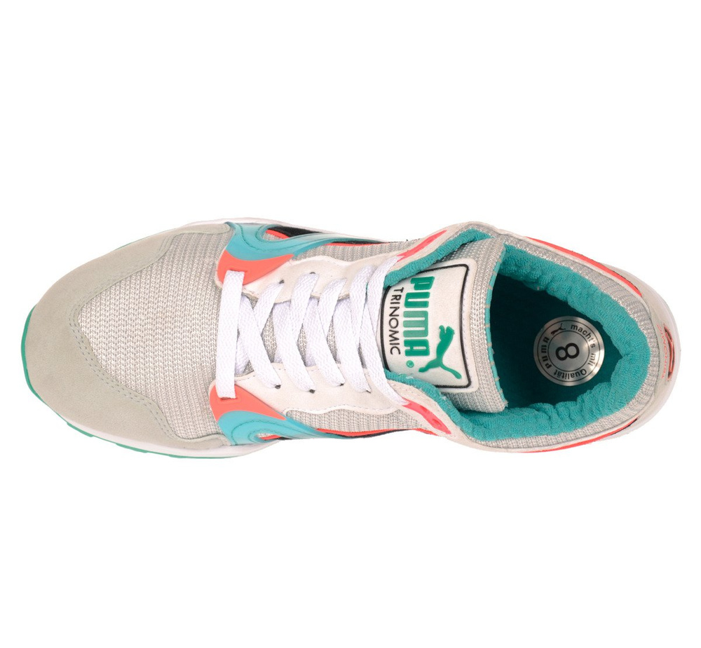 Męskie Sportowe Buty Puma Trinomic XT 1 Plus Szare