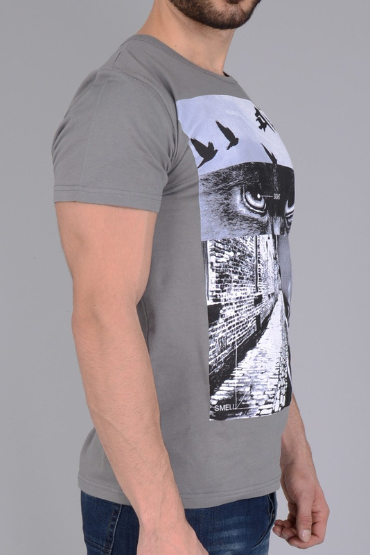 Męska Koszulka T-shirt Nadruk Szara