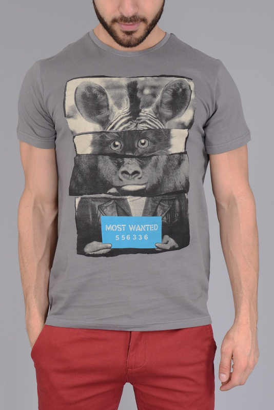 Męska Koszulka T-shirt Nadruk Szara