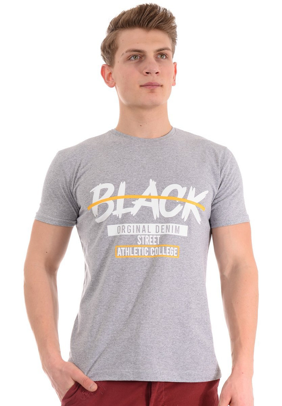 Męska Koszulka T-Shirt Nadruk Szara