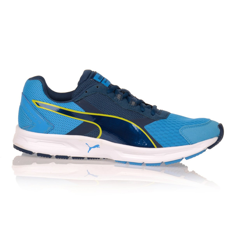 Męskie Buty Sportowe Puma Descendant v3 Running Niebieskie